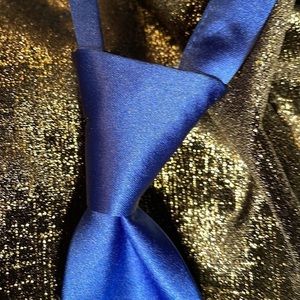 Royal blue Cinch Satin Tie, 3”wide.  Pre-tied, slip over head, adjust and go.